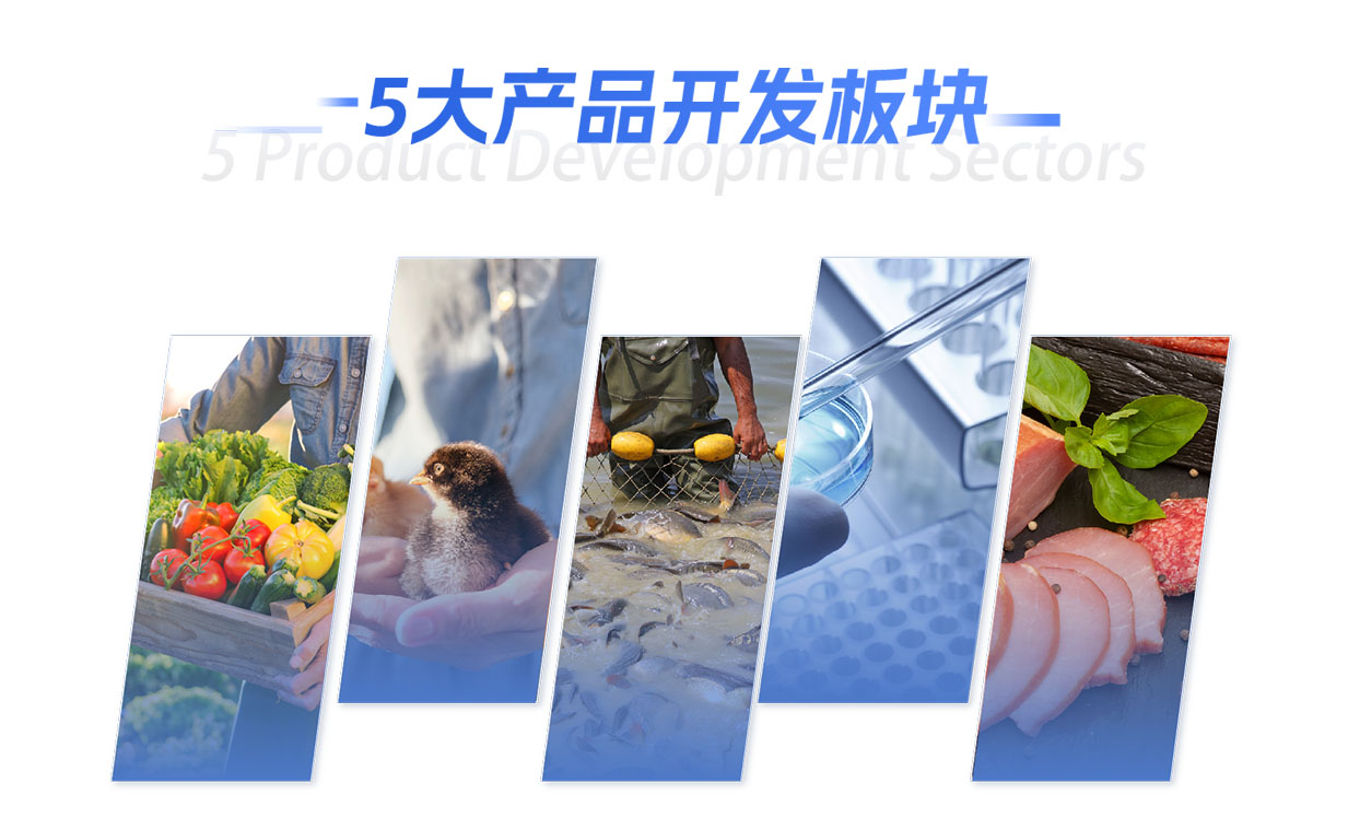 1731564077216545.jpg 五大产品开发板块.jpg