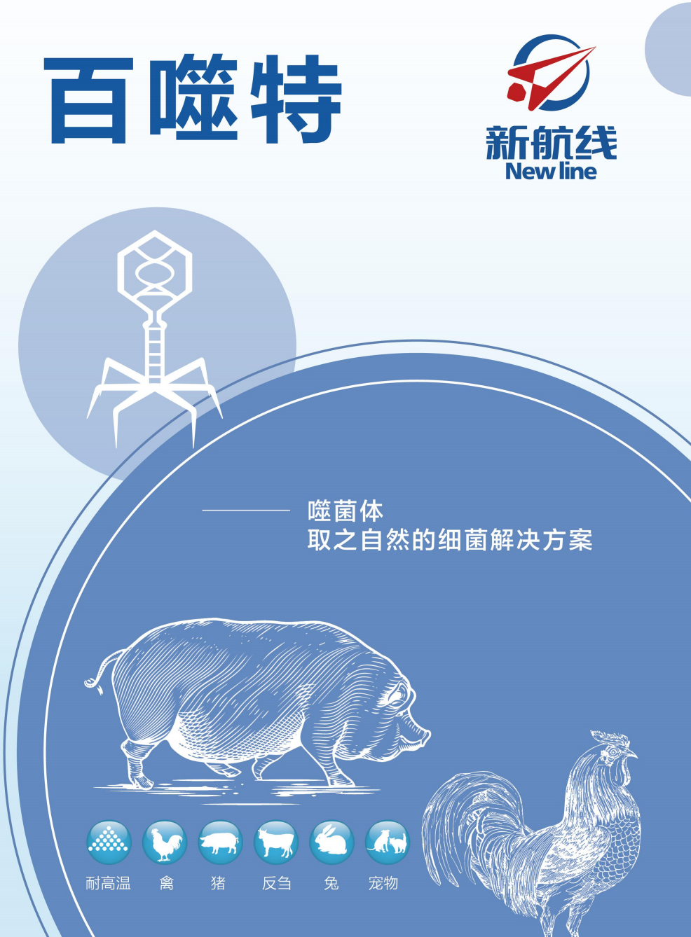 朱琳娜博士主题报告海报
